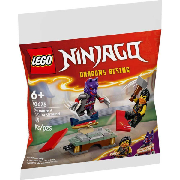 Lego Ninjago Dragons Rising για 6 Ετών Κωδικός 30675