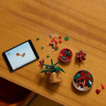 Lego Botanical Collection Poinsettia για 18 Ετών 608τμχ Κωδικός 10370