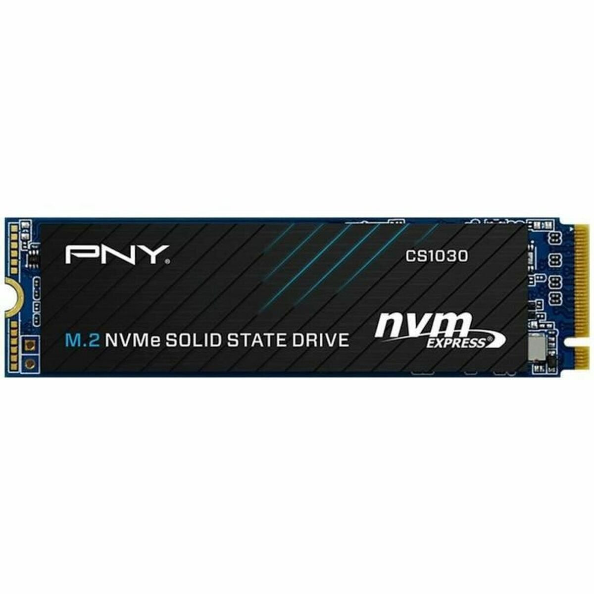 PNY CS1030 SSD 250GB M.2 NVMe PCI Express 3.0 Κωδικός M280CS1030-250-RB