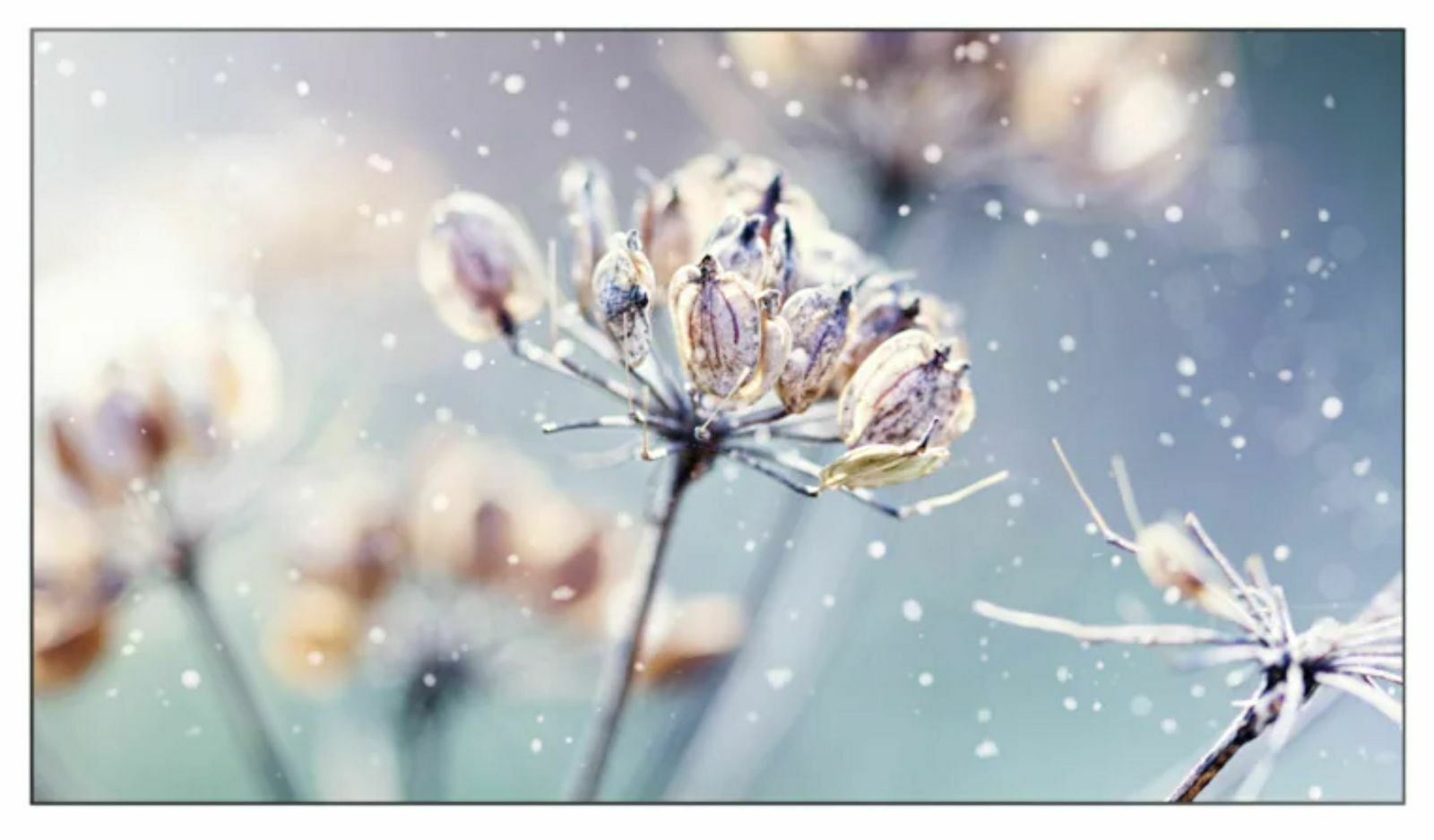 Samsung Video Wall VMB-U Series Public Display LED Full HD 55