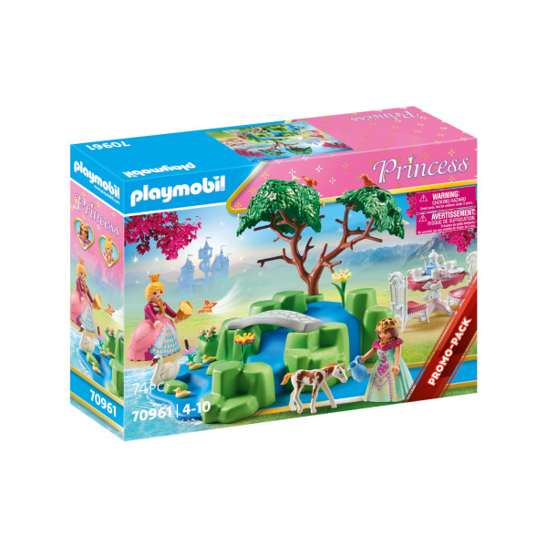 Playmobil Princess Πριγκιπικό Πικ Νικ για 4-10 ετών