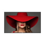 Philips Videowall Public Display 43