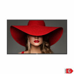 Philips Videowall Public Display 43