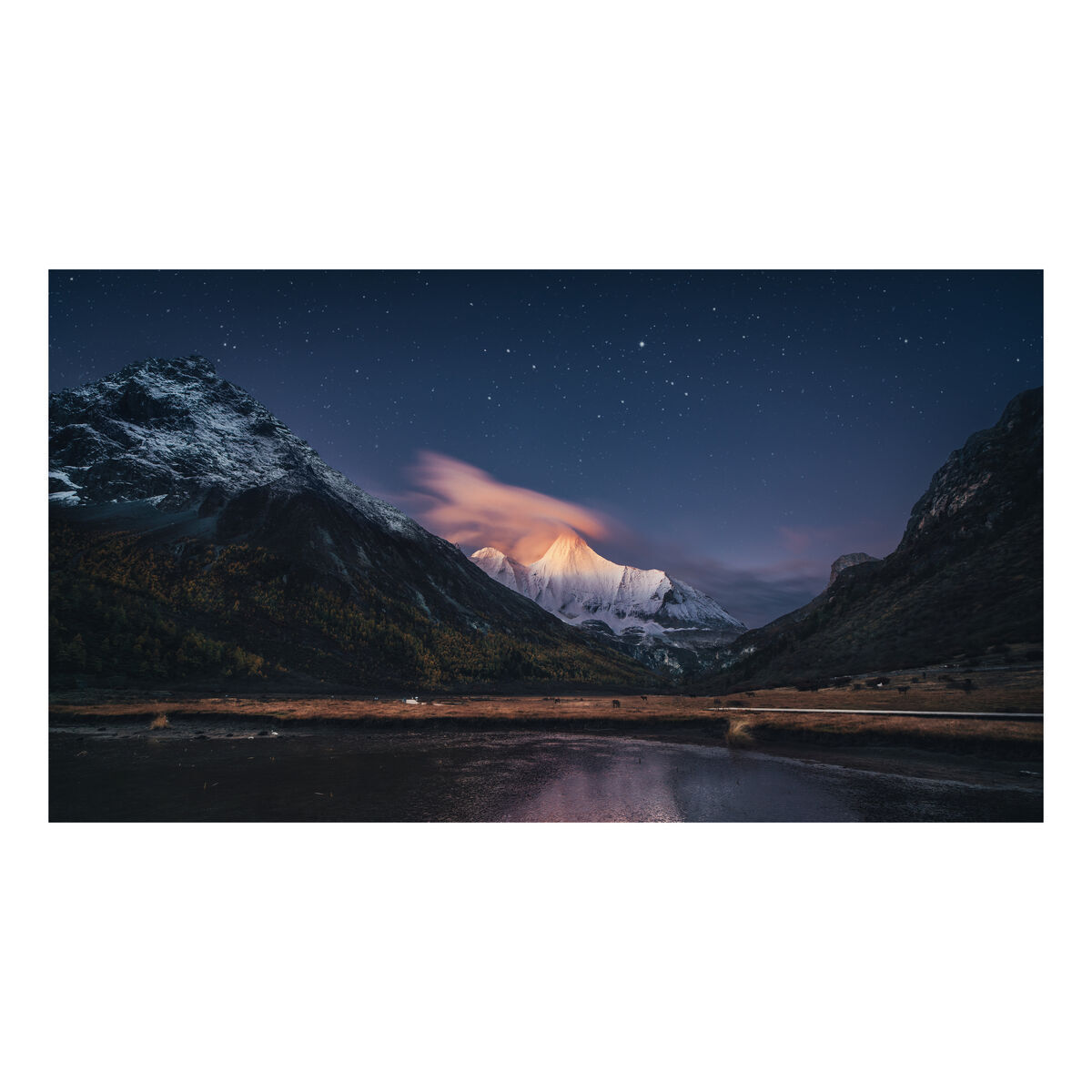 Samsung Series Public Display IPS Full HD 55