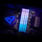 Adata DDR5 με Module 1x16GB και Ταχύτητα 6000 για Desktop Κωδικός AX5U6000C3016G-SLABRWH