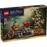 LEGO Harry Potter Harry Potter Hogwarts Herbalism Plants για 12 Ετών 817τμχ Κωδικός 76474