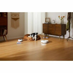 Dreame L10s Pro Ultra Robot Vacuum Cleaner (white)