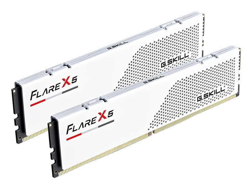 G.Skill Flare X5 DDR5 96GB RAM με 2x48GB Modules και Ταχύτητα 6000 για Desktop Κωδικός F5-6000J3036F48GX2-FX5W